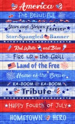 RED, WHITE AND BLUE PANEL