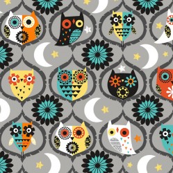 OWL NIGHT LONG