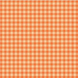 CHECKERED ON MINKY - Contact your account manager to purchase