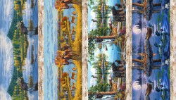 NORTH COUNTRY STRIPE
