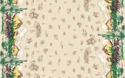 BUCKAROO BORDER