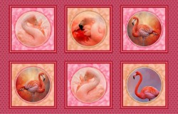FLAMINGO GRACE PANEL-24" REPEAT