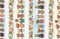 BEAR FAMILY OUTING