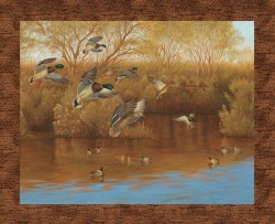 FINAL APPROACH PANEL-36" REPEAT