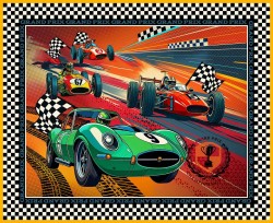 GRAND PRIX MOTION PANEL 44'' X 36''