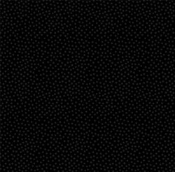 GARDEN PINDOT