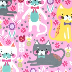 KITTY GARDEN on MINKY