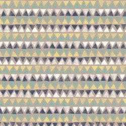 EXPLORE STRIPE