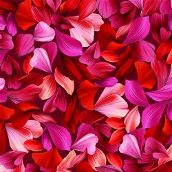 PETAL WHIMSY