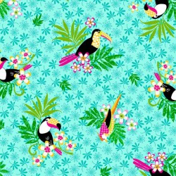 TOCO TOUCAN