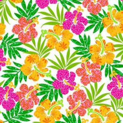 VIVID HIBISCUS