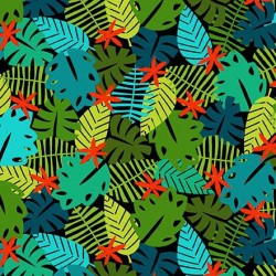 COLORFUL LEAVES