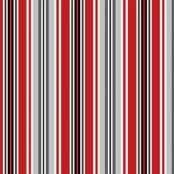 PARISIAN STRIPE