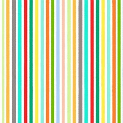 EXPLORER STRIPE