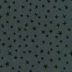 STARGAZER