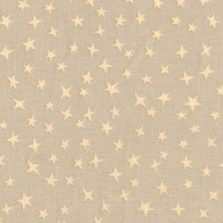 STARGAZER