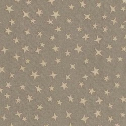 STARGAZER