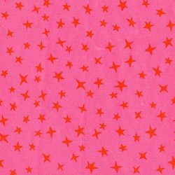STARGAZER