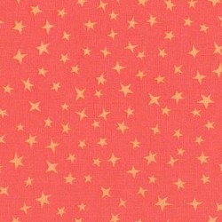 STARGAZER