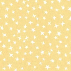 STARGAZER