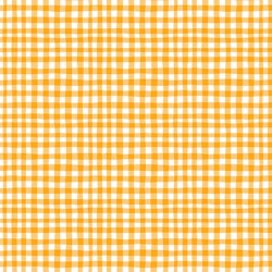 GINGHAM PLAY