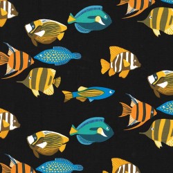 Fishtopia Fishes Fish Aquatic Ocean Life Underwater Coral