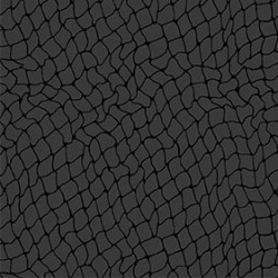NETWORK