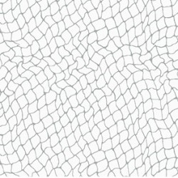 NETWORK