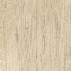 BBQ TEXTURE - NOT FOR PURCHASE BY MANUFACTURERS