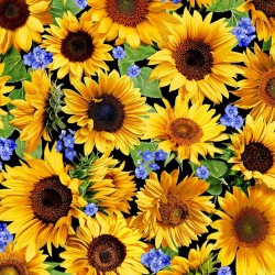 SUNFLOWER MEADOW