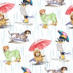 DOGS IN THE RAIN