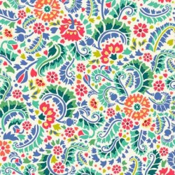 PAISLEY PATHWAYS