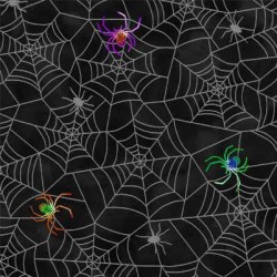 SPIDER WEBS