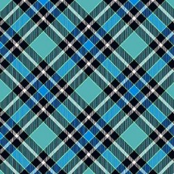 CAMPING PLAID