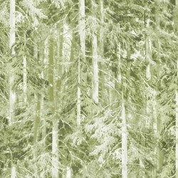 SUMMER FOREST