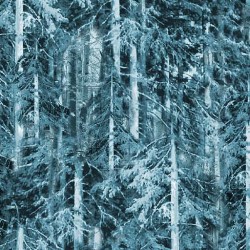 SUMMER FOREST