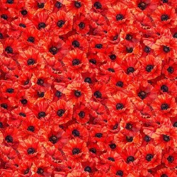 SCARLET MEADOW