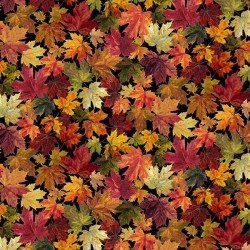 UNDER THE FALLING LEAVES