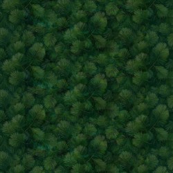 EVERGREEN GRACE