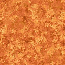 FALL FOLIAGE