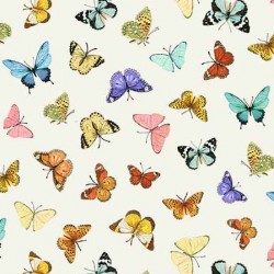 LOTS OF BUTTERFLIES