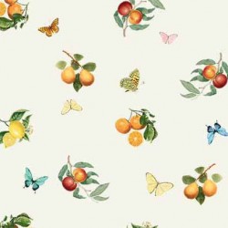 CITRUS AND BUTTERFLIES