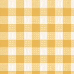 WILD WEST GINGHAM