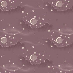 MOONSKY