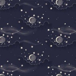 MOONSKY