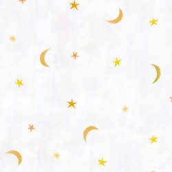 MYSTIC MOON