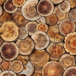 CUT LOGS