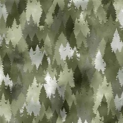 FOREST VIEW