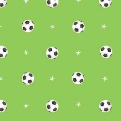 SUPER SOCCER STAR