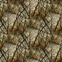 FEATHERED REFLECTION